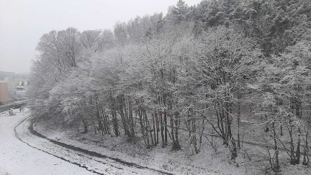 Mieszkanie – Gdynia, Pustki Cisowskie, Pustki Cisowskie-Demptowo - Więcej