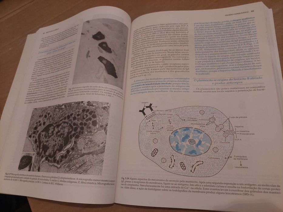 Livro “Histologia Básica” em excelente estado