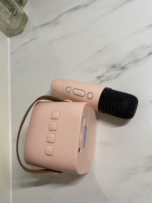 Mikrofon Bezprzewodowy z Głośnikiem