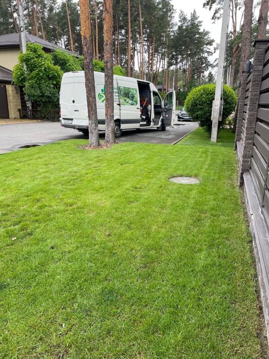 Комплексний догляд за газоном, скарифікація, весняне підживлення