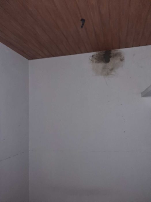 Pinturas e remodelações