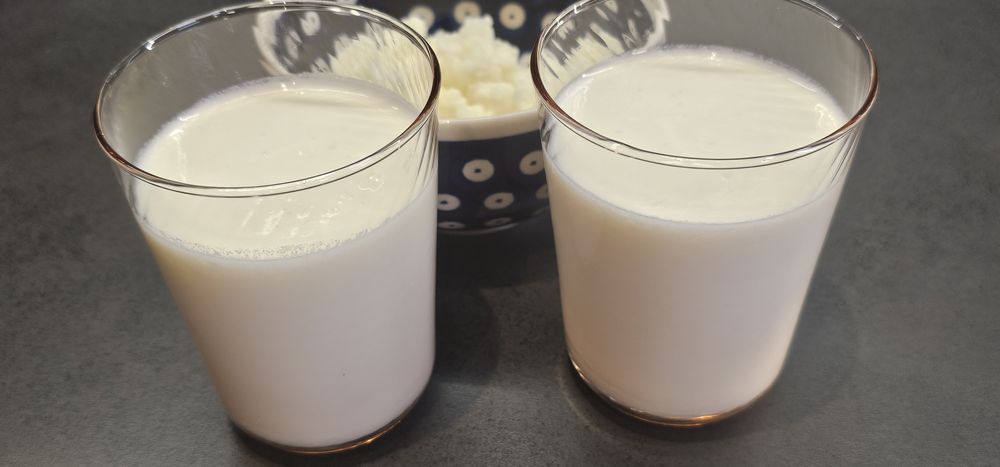 Grzybek tybetański, kefirowy