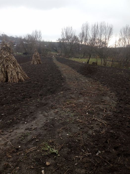 Продаж житлового будинку з господарськими приміщеннями .с Ланівці