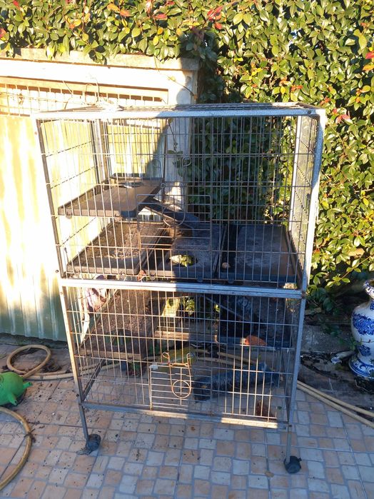 Gaiola para furão ou similar