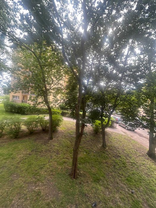 Mieszkanie – Bydgoszcz, Zawisza - Więcej