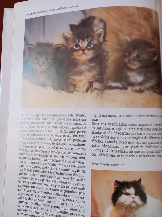 Enciclopédia dos Gatos (portes incluídos)