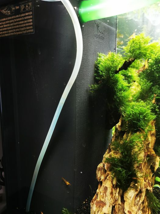Aquário Aqualantis 120litros