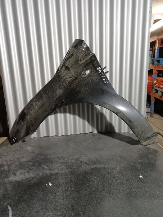 Guarda Lamas Citroen C2 ESQUERDO  Preto