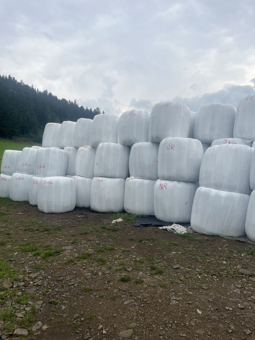 Sprzedam sianokiszonke