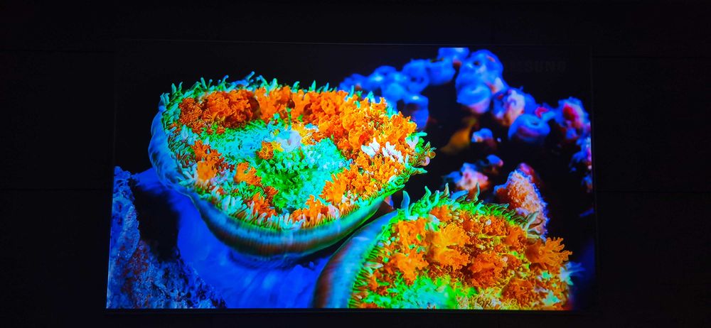 Ekran projekcyjny ALR MagicScreen Future Black AMLED 92″