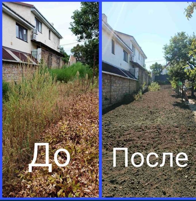 Очистка участка любой сложности.