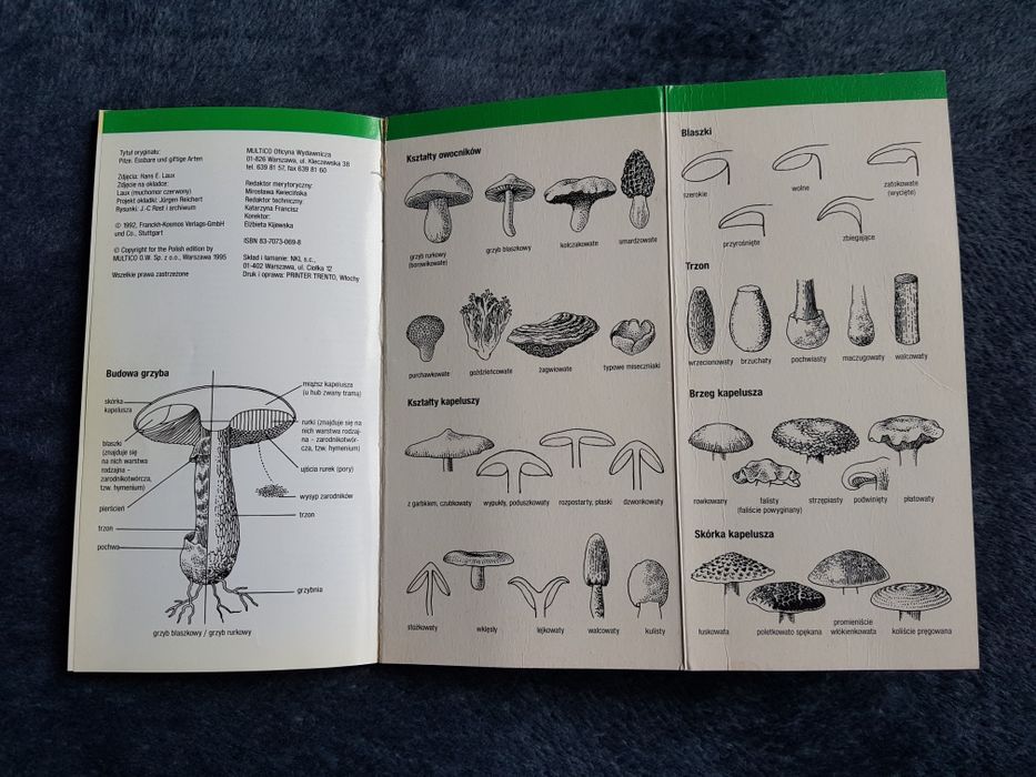 Grzyby - przewodnik kieszonkowy, jadalne i trujące, grzybobranie