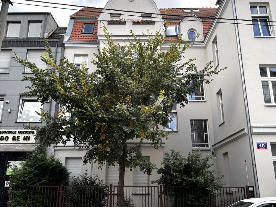 Zdjęcie 8