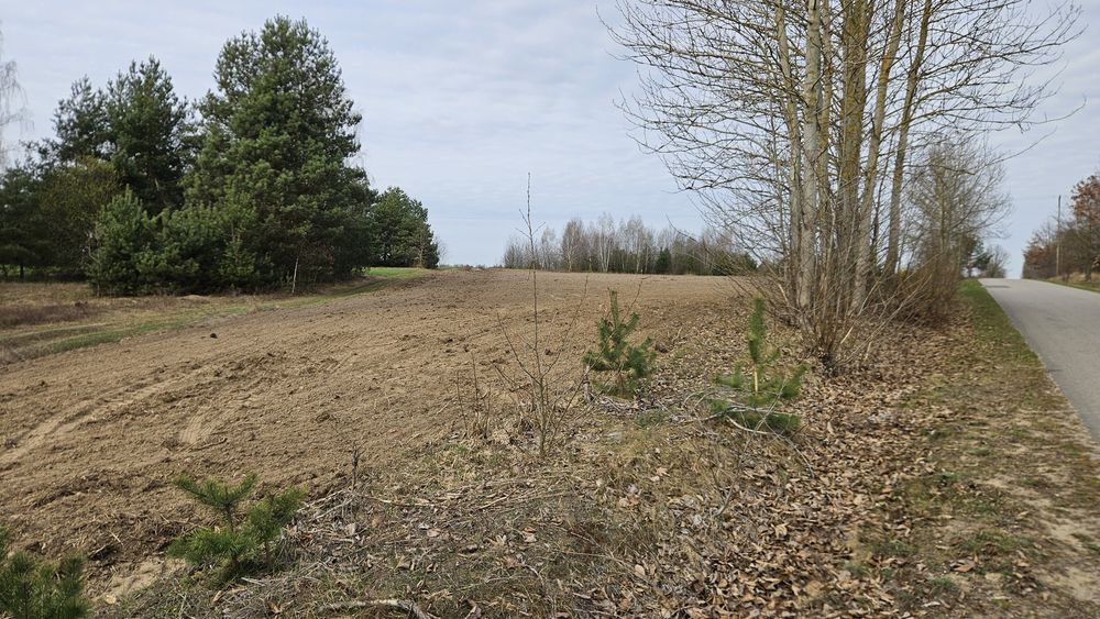 Działka pod budowę Ruda Szostkowska - Widok 3