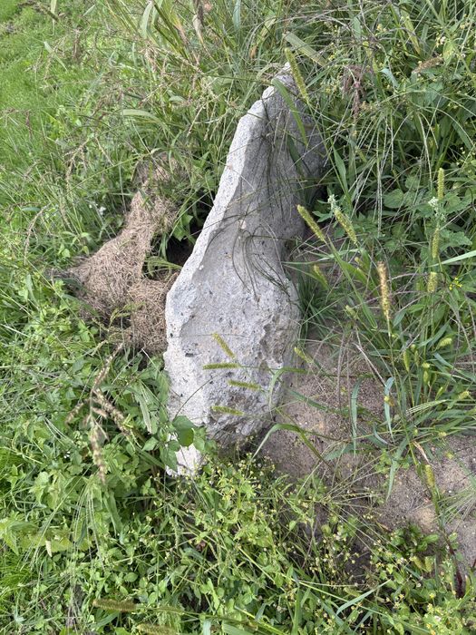 Kamienie Gruz na Utwardzenie Terenu