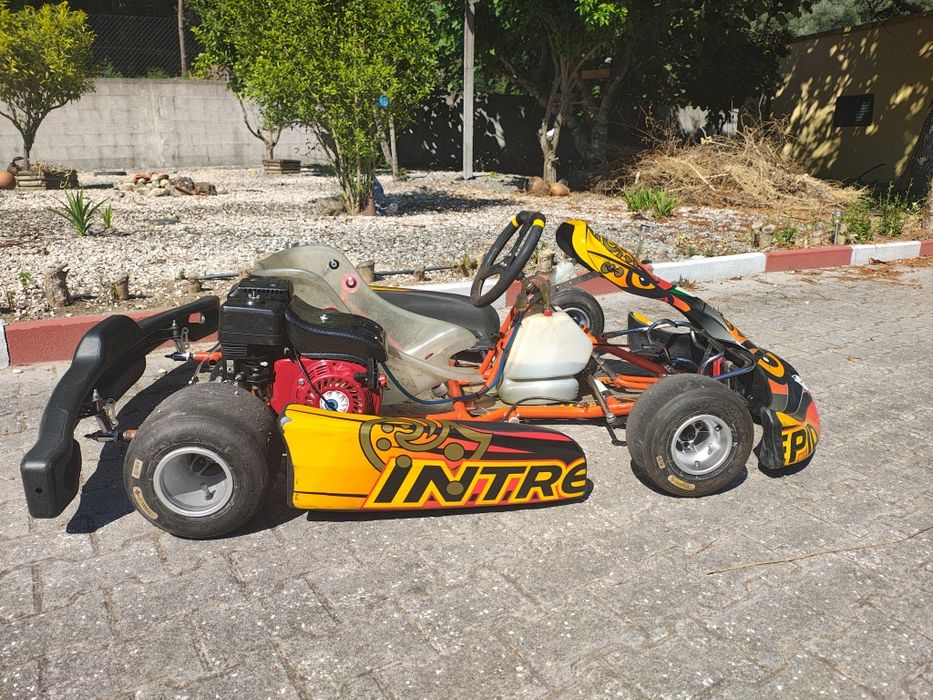 Kart intrepid cruiser 2015