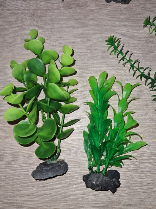 Sztuczne rośliny akwariowe