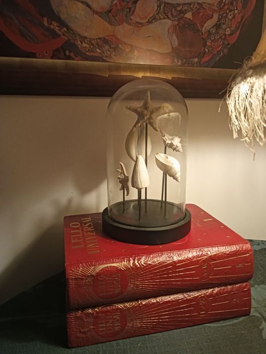 Peça decorativa com búzios