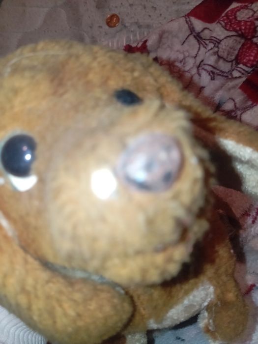 Cão sem pilhas n sei se funciona