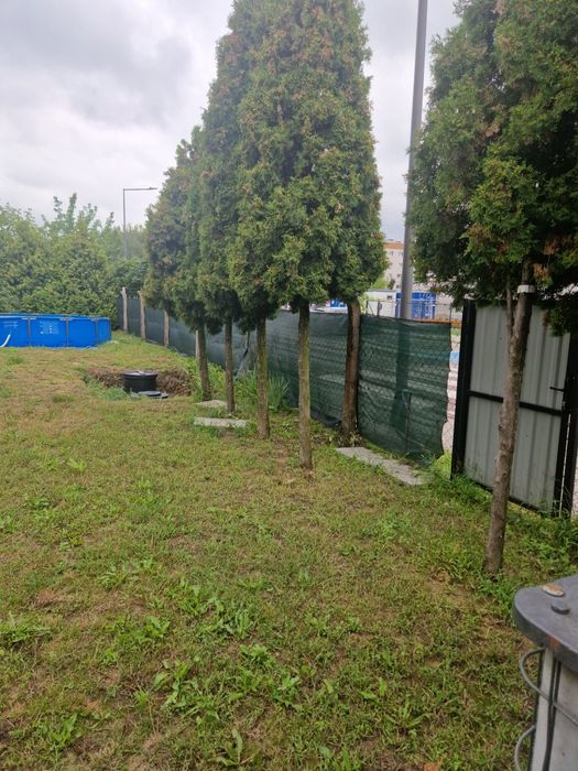 Działka ROD Oś konstytucji 3 Maja Kościan - Widok 5