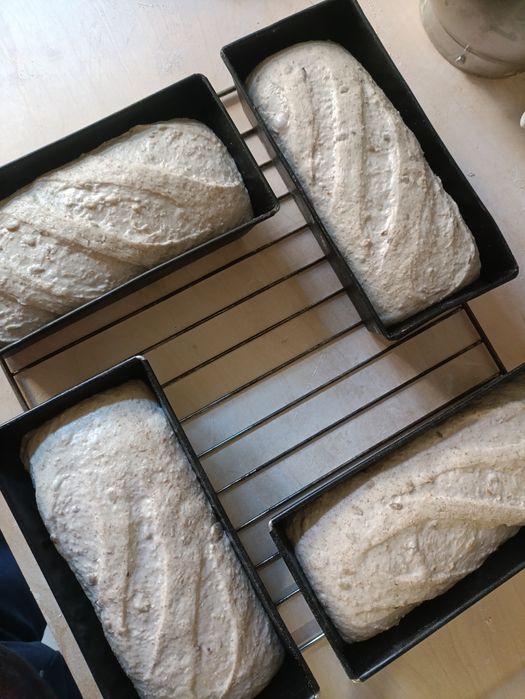 Chlebek z Mąki Orkiszowej 100% .. 4 szt