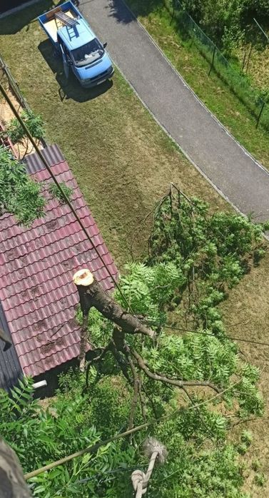 Wycinka i Przycinka Drzew Trudnych