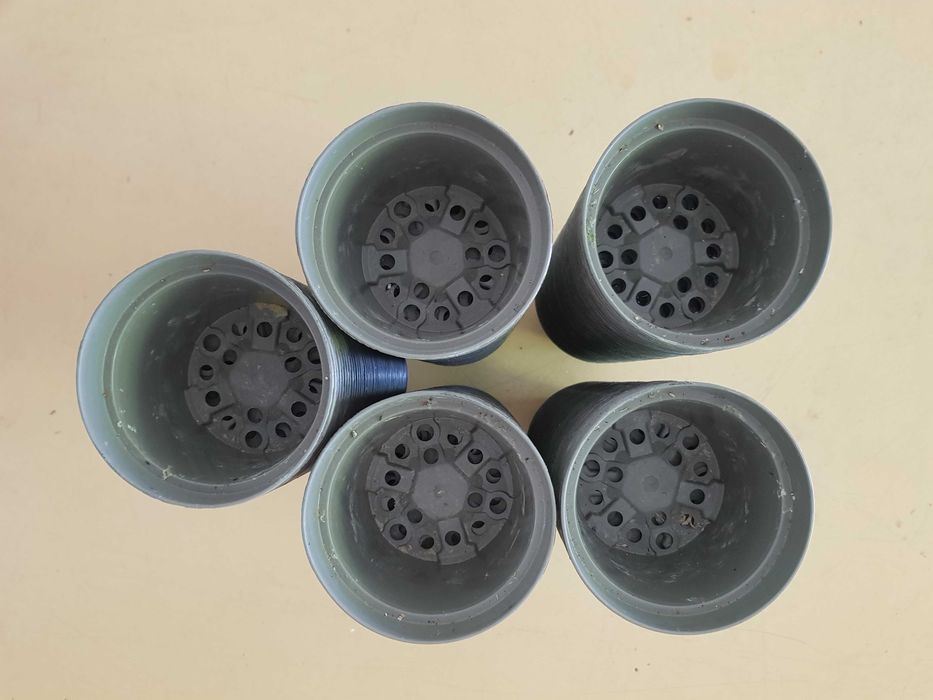 250 Vasos  de Plastico