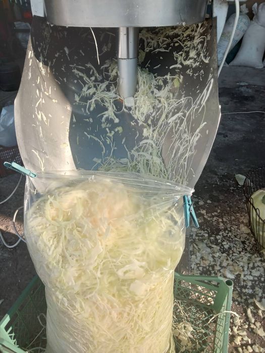 Продам шатковану капусту ціна 6 грн на гурт