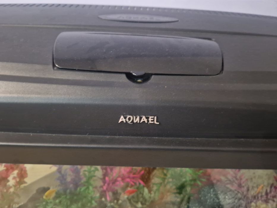 Akwarium aquael.