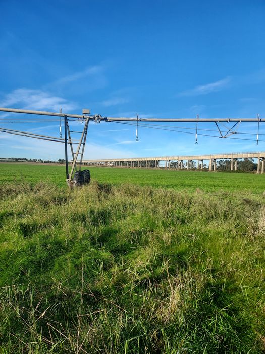 Pivot de rega de 5 torres 298 mt