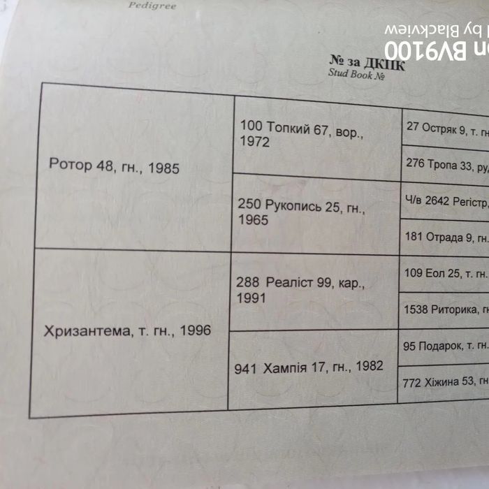 Жеребец производитель,продам лошадь