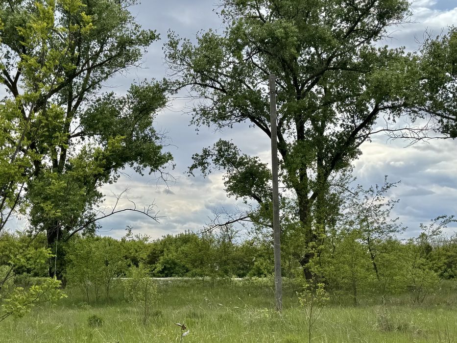 Земельна ділянка фасадна! 3га!! Бориспіль!