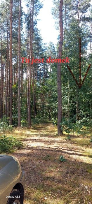 Zdjęcie 8