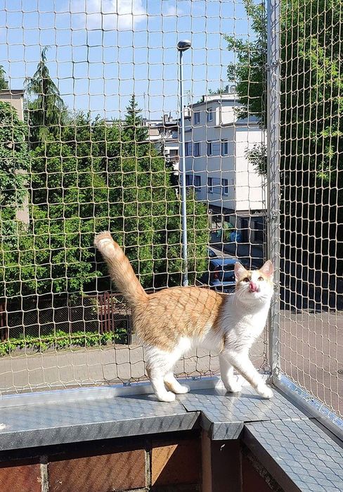 Montaż siatki balkonowej, kolcy przeciw gołebiom