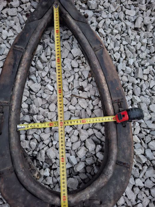 Homonta chomonta homonto