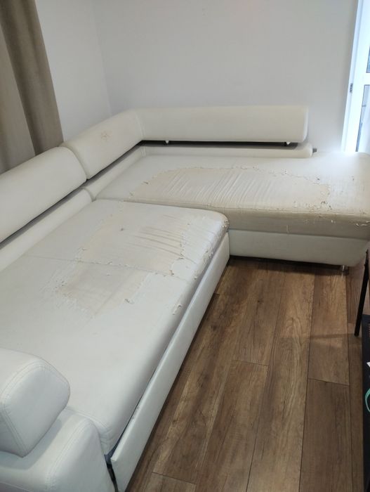 Rogówka razem z pokrowcem