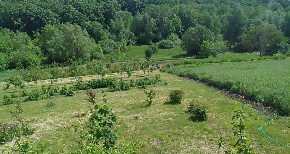 Продається земельна ділянка зі стареньким будинком. - View 5