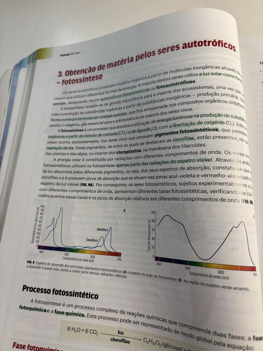 Preparar os testes Biologia 12º