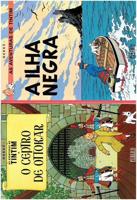 11860

Coleção As Aventuras de Tintim
de Hergé

edição Publico