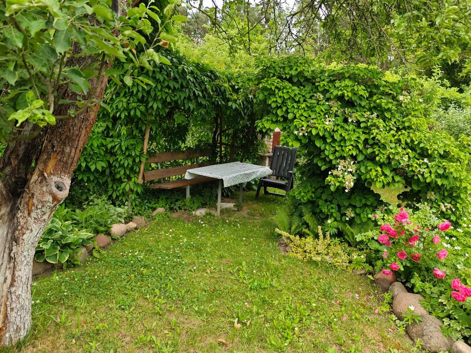 Działka ROD Jarzębina Lubin - View 4