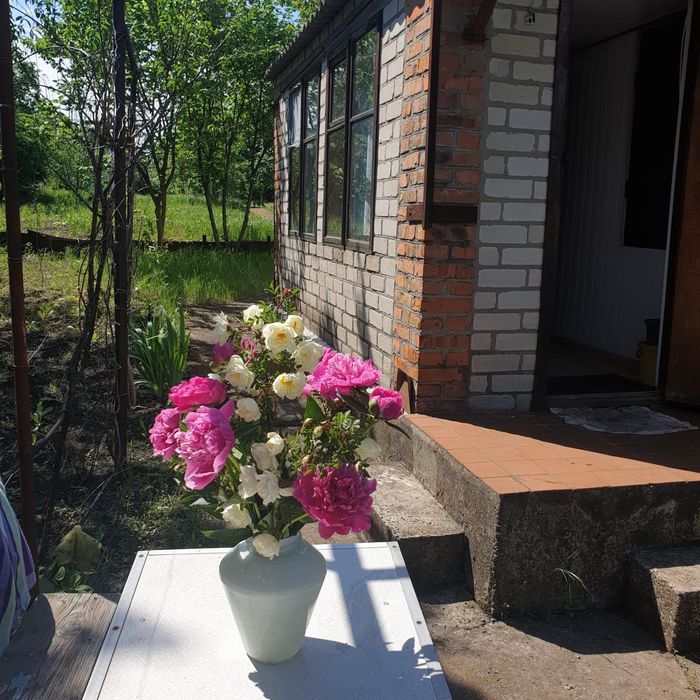 Продам дачу в с. Базарово