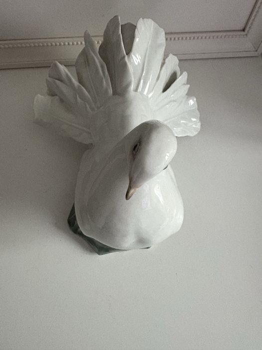 Gołębica Rosenthal