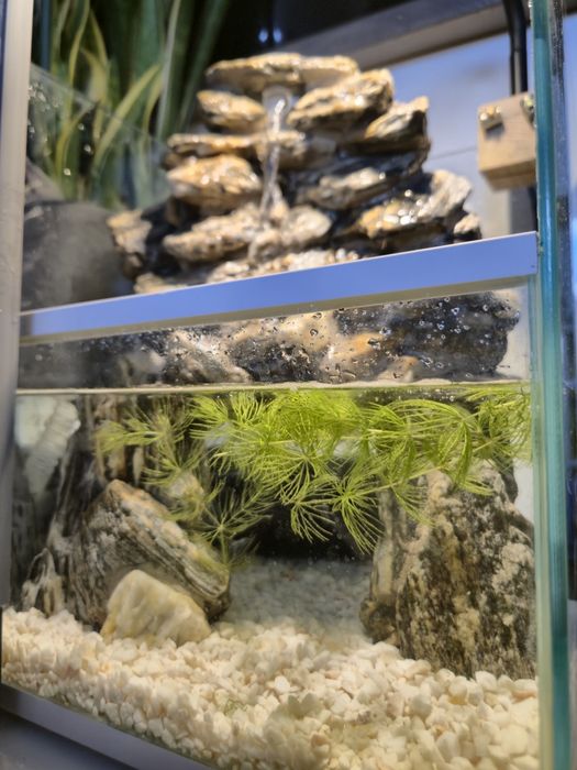 Paludarium, akwarium, wodospad z łupka.