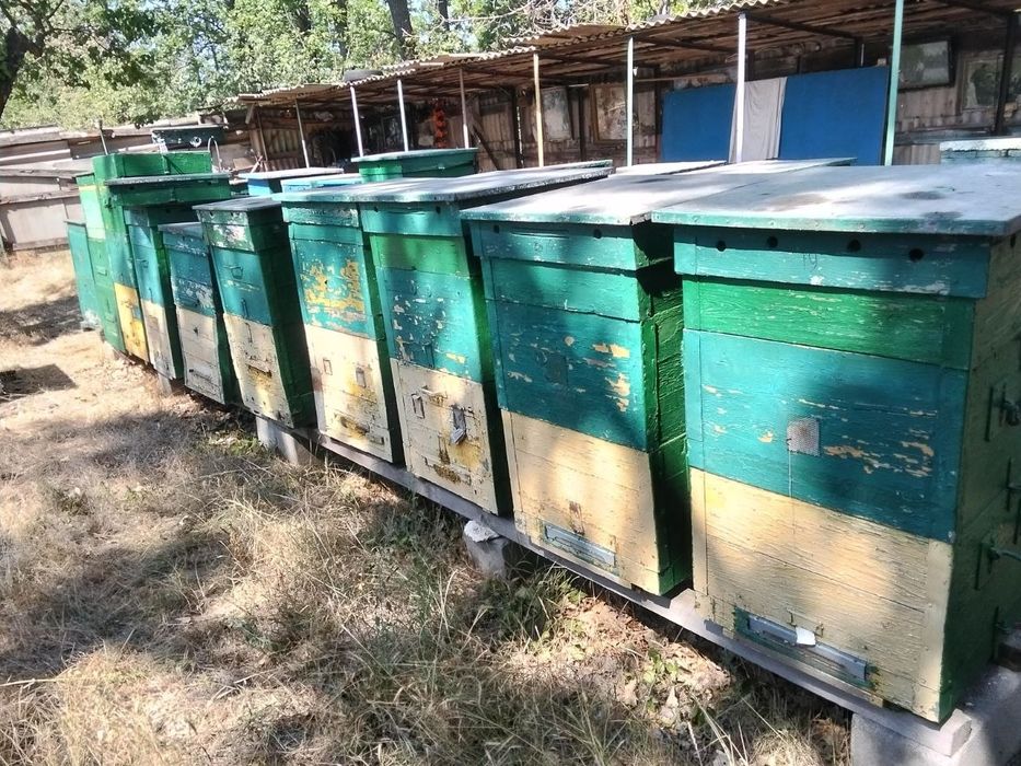 Вулики дерев'яні