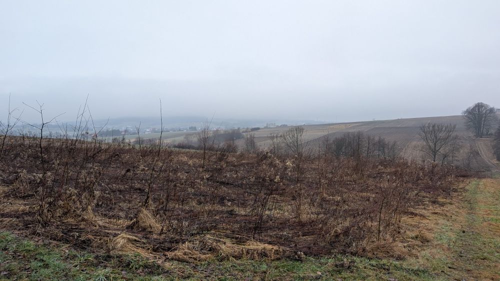 Działka rolna Kopytowa gm Chorkówka