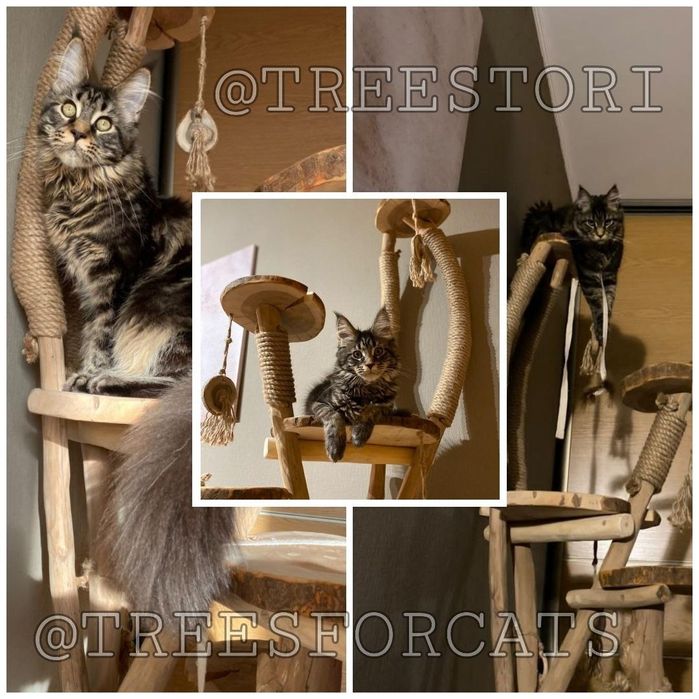 Еко когтеточки. Будинок для кота та кішки. Гральний комплекс.