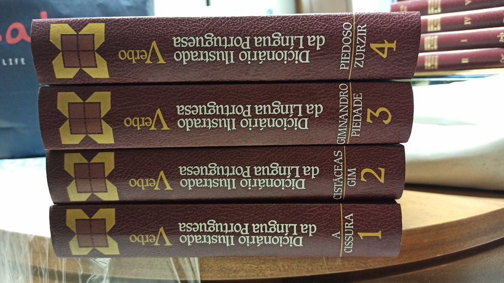 Dicionário Ilustrado da Língua Portuguesa Verbo (4 Volumes)
