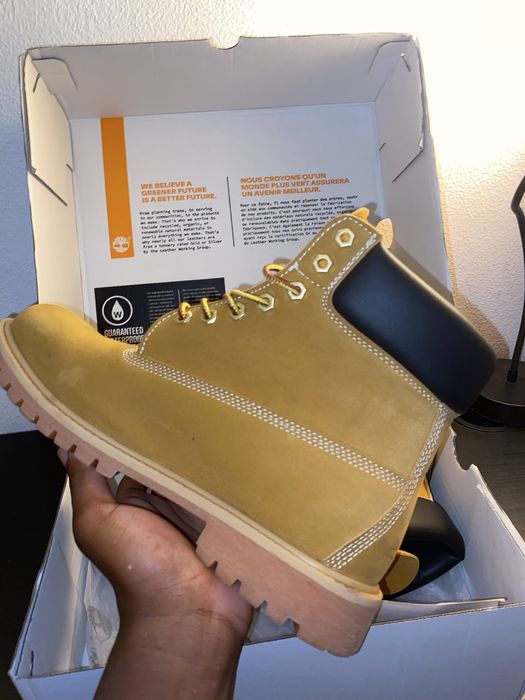 Botas Timberland