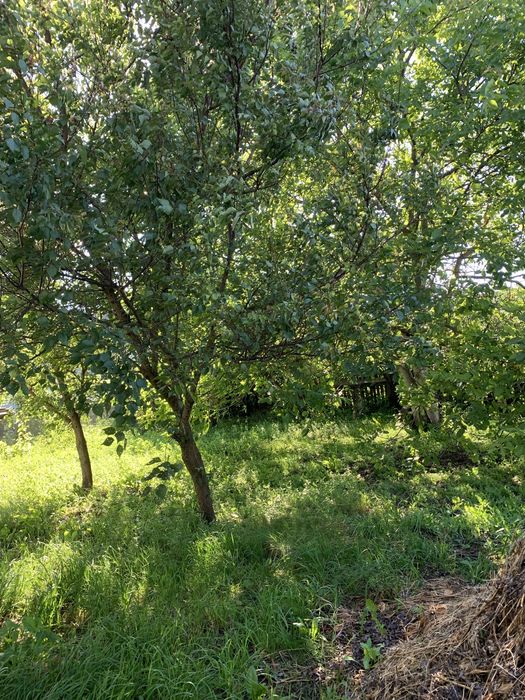 Продається будинок