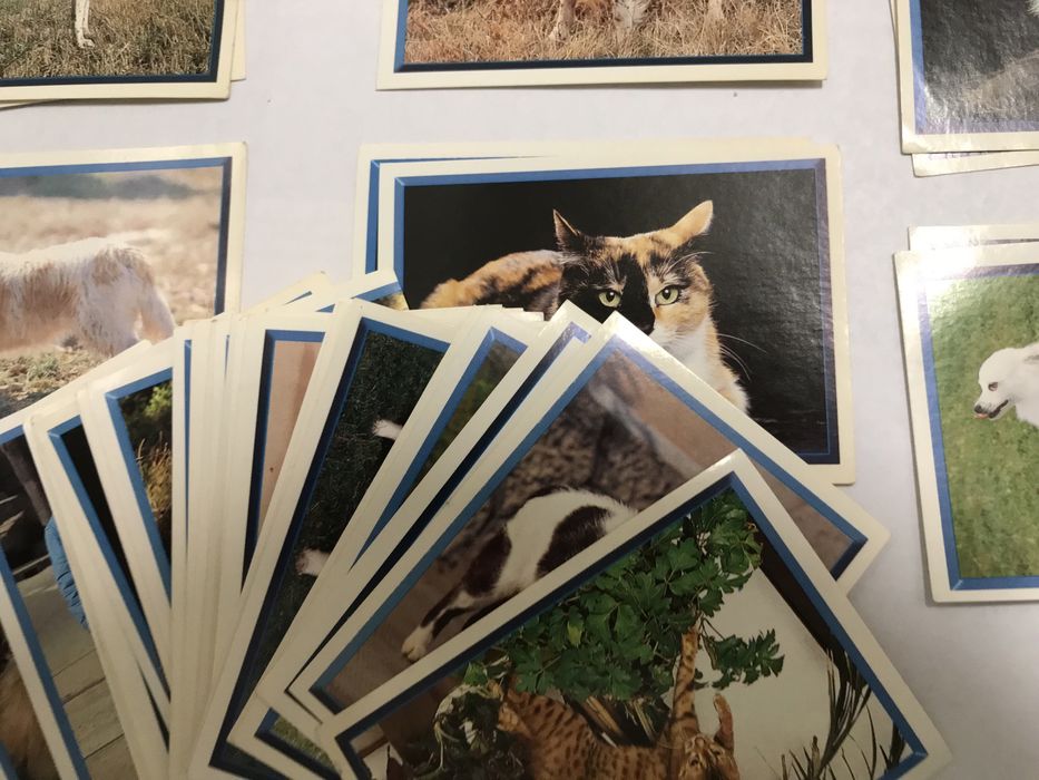 Coleção Cats & Dogs - Panini - Cromos